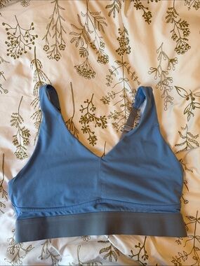 Fabletics sports bra